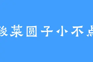 酸菜圆子小不点
