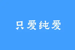 只爱纯爱