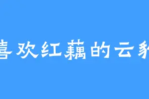 喜欢红藕的云豹