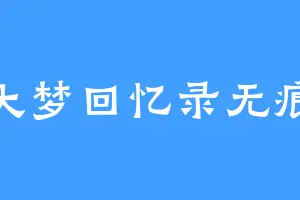 大梦回忆录无痕