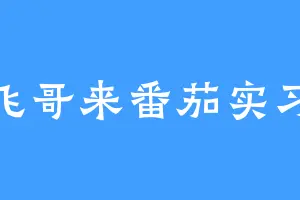 小飞哥来番茄实习咯
