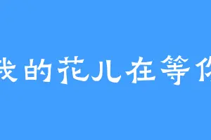 我的花儿在等你