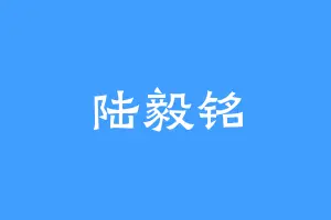 陆毅铭