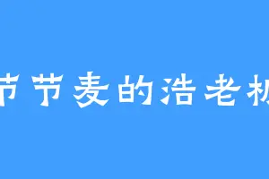 节节麦的浩老板