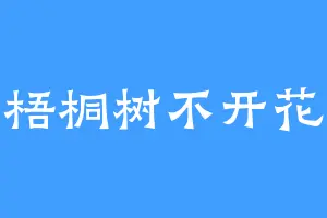 梧桐树不开花