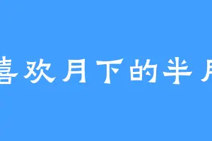喜欢月下的半月