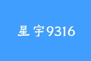 星宇9316