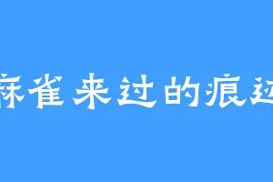 麻雀来过的痕迹