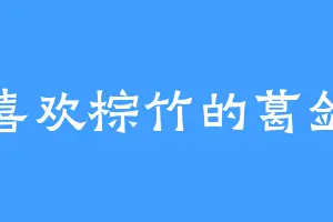 喜欢棕竹的葛剑