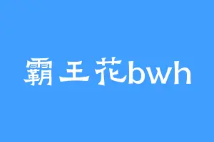 霸王花bwh