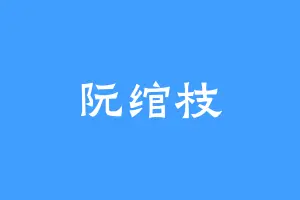 阮绾枝