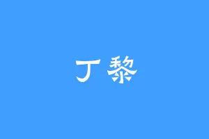 丁黎