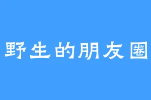 野生的朋友圈
