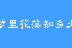 梦里花落知多少