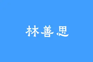 林善思