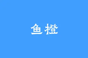 鱼橙